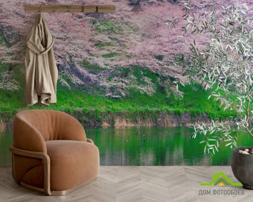 выбрать Фотошпалери Квіти над водою Фотошпалери Фотошпалери Природа: фото, рожевий  на стіну