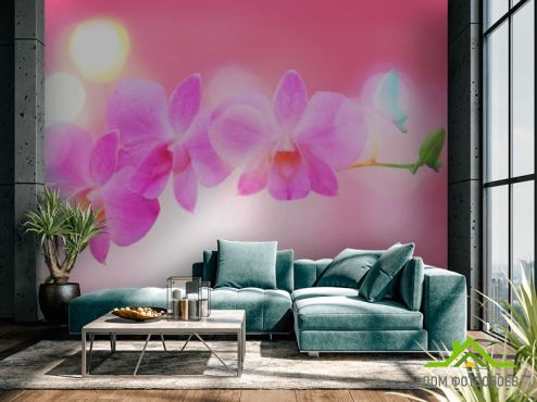 выбрать Фотошпалери Блідо-рожеві квіти  на стіну