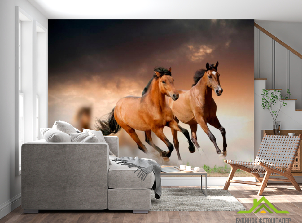 выбрать Фотообои Два мустанга Каталог фотообоев на стену