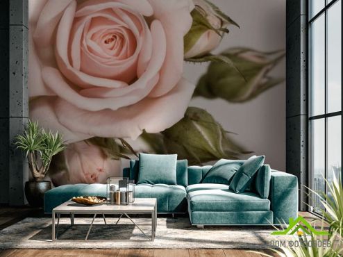 выбрать Фотообои Кремовые роза и бутоны Фотообои Фотообои Розы: горизонталная, горизонтальная ориентация на стену