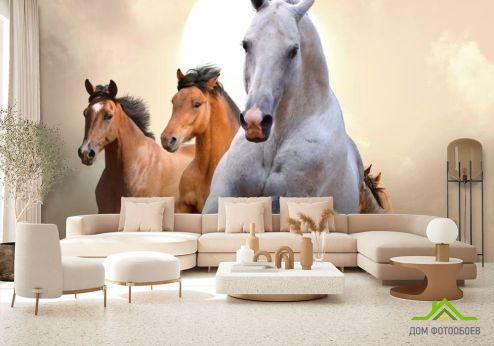 выбрать Фотообои Скачки лошадей Фотообои Животные на стену