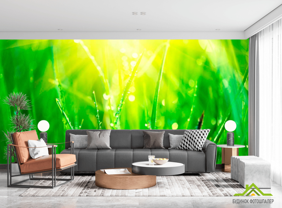 выбрать Фотообои На траве роса Каталог фотообоев на стену