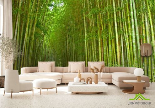 выбрать Фотообои Много бамбука Фотообои Фотообои лес: горизонталная, горизонтальная ориентация на стену