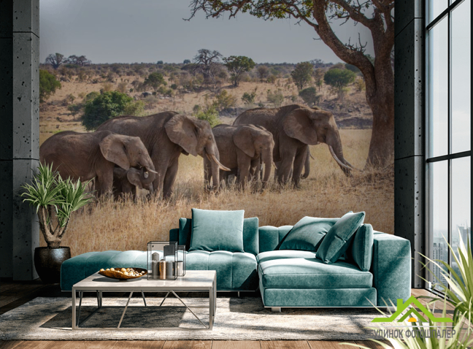 выбрать Фотошпалери слони і слоненята Каталог фотошпалер на стіну