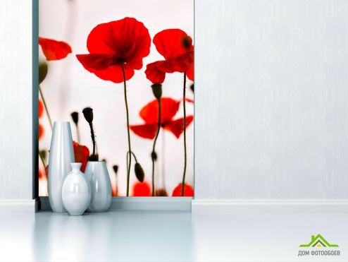выбрать Фотошпалери Маки польові червоні Фотошпалери Фотошпалери Квіти: вертикальна орієнтація на стіну