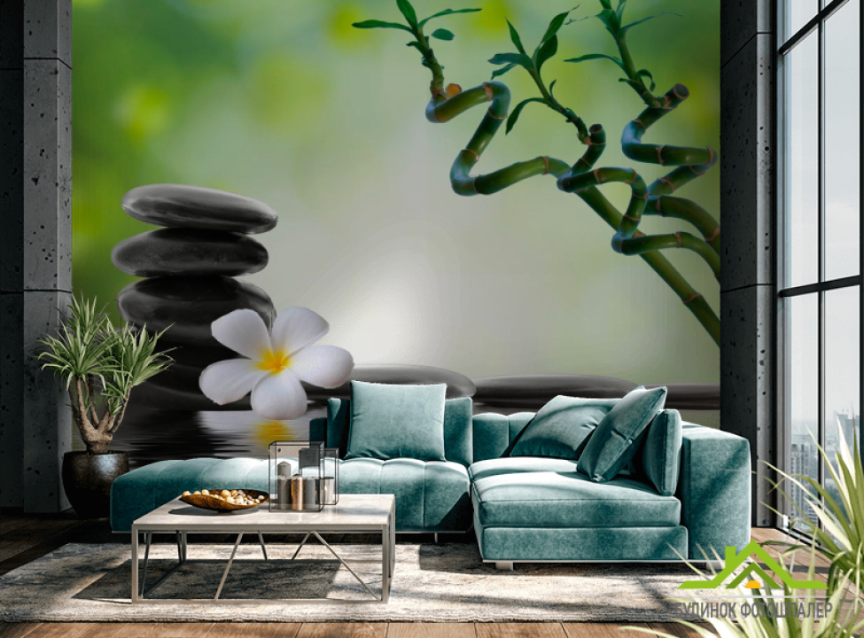 выбрать Фотообои Веточки, камни, цветок Каталог фотообоев на стену