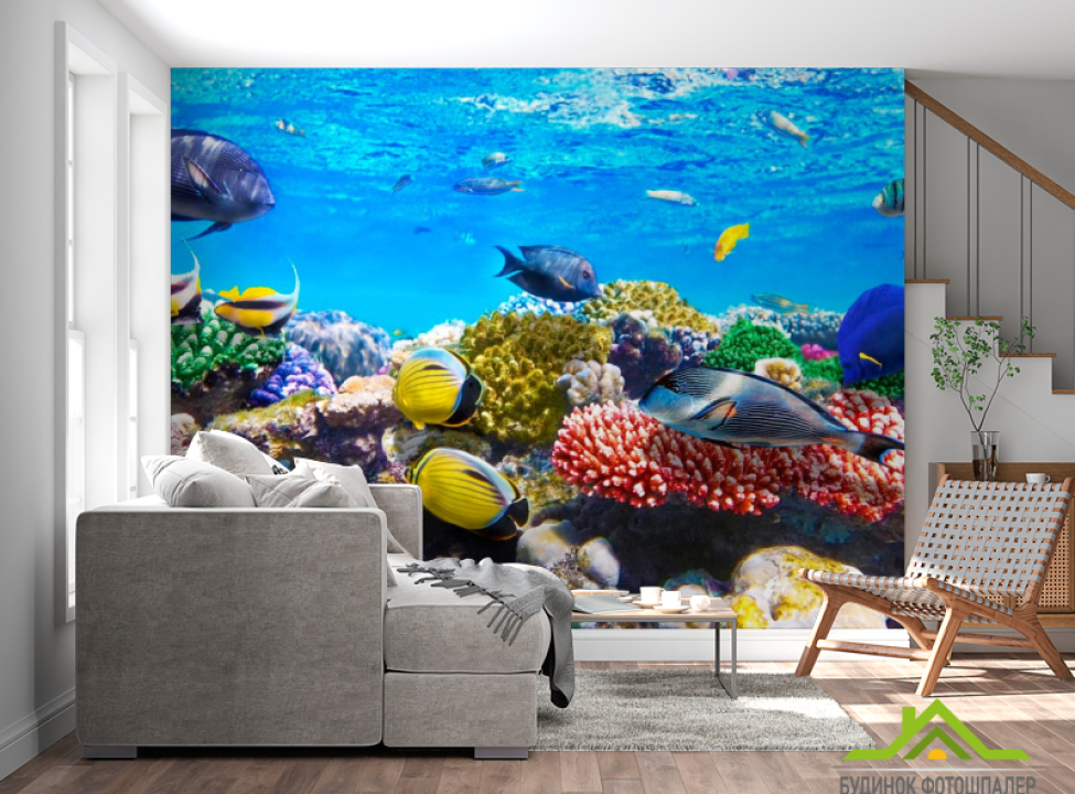 выбрать Фотообои Рыбы Каталог фотообоев на стену