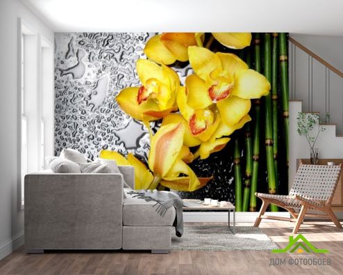 выбрать Фотошпалери Жовті орхідеї Фотошпалери Квіти на стіну