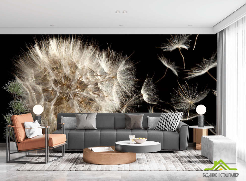 выбрать Фотошпалери Пух кульбаби летить Каталог фотошпалер на стіну