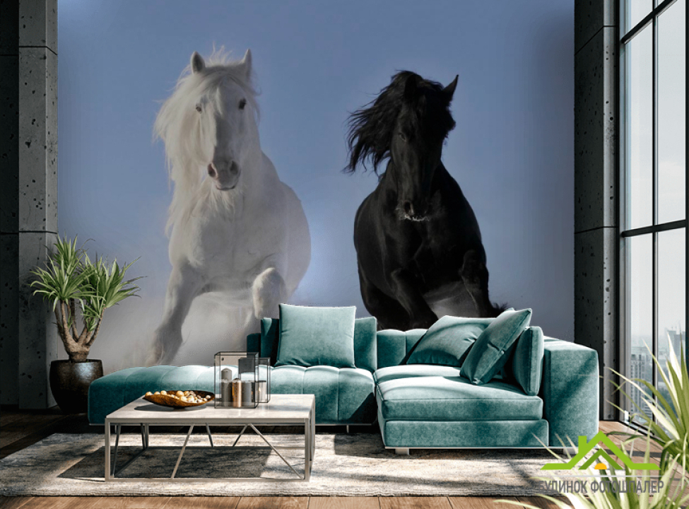 выбрать Фотообои Инь и Янь Каталог фотообоев на стену