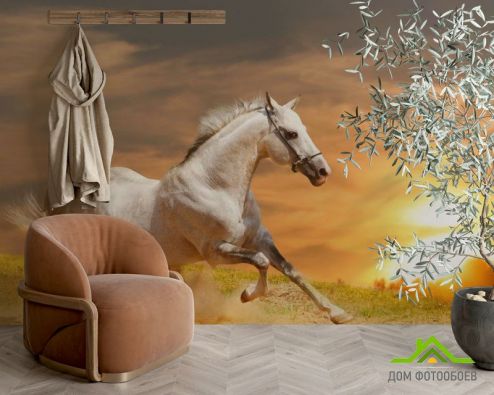 выбрать Фотообои Бегущий конь Фотообои Фотообои Животные: горизонталная, горизонтальная ориентация на стену