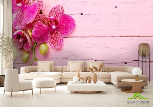 выбрать Фотошпалери Рожева орхідея Рожеві фотошпалери на стіну