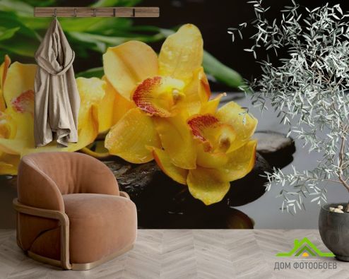 выбрать Фотообои Орхидея Фотообои Фотообои Цветы: желтый на стену