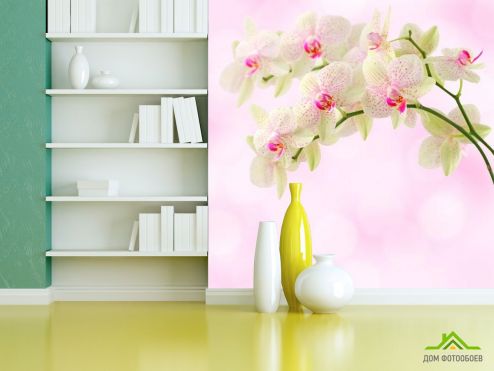 выбрать Фотообои Орхидеи точечные Розовые фотообои на стену