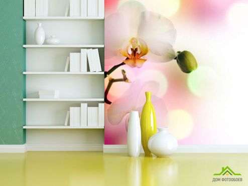 выбрать Фотообои Орхидеи цветут Фотообои Фотообои Цветы: фото  на стену