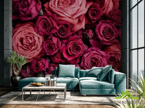 выбрать Фотообои Розы Фотообои Фотообои Цветы:  на стену