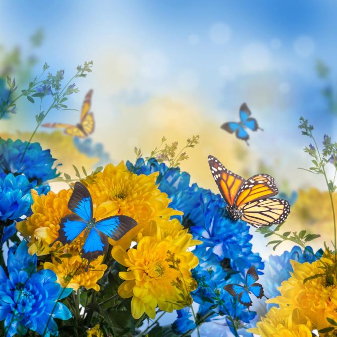Фотообои голубо-желтые цветы и бабочки