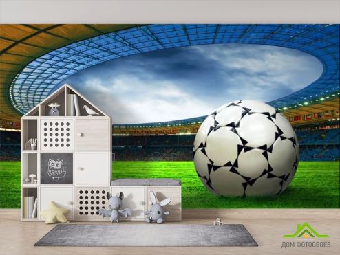 выбрать Фотообои Мяч на футбольном поле Фотообои, цвет: «горизонталная, горизонтальная» на стену