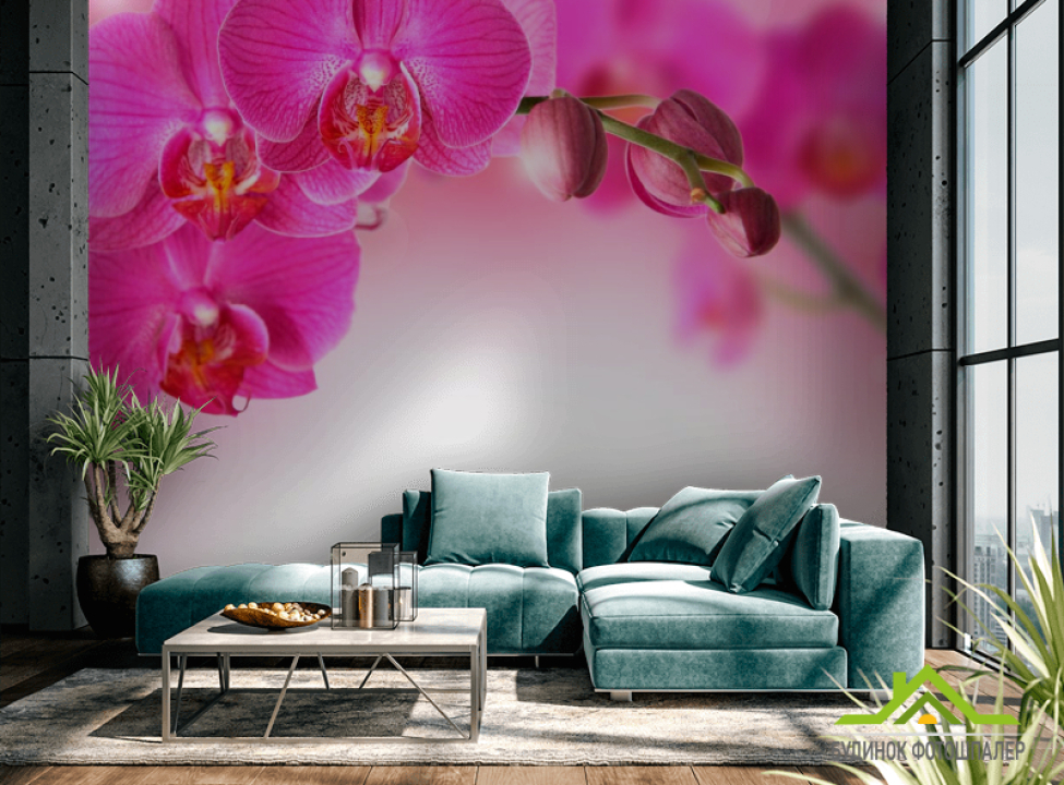выбрать Фотошпалери Гілочка рожевих орхідей Каталог фотошпалер на стіну