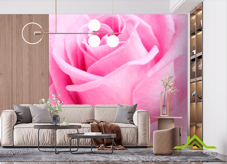 Фотообои Макро-съемка розы