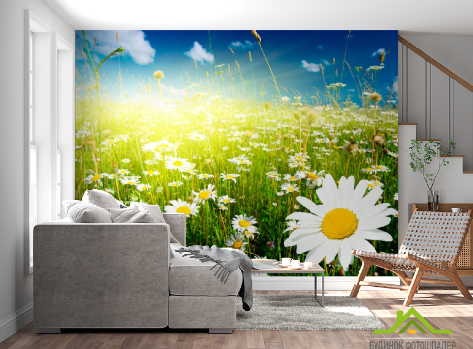 выбрать Фотообои Восход в ромашковом поле Каталог фотообоев на стену