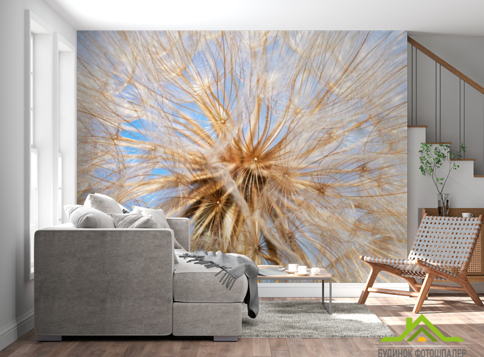 выбрать Фотошпалери Кульбаба Фотошпалери Кульбаби на стіну