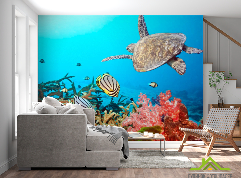 выбрать Фотошпалери Черепашка і рибки Каталог фотошпалер на стіну