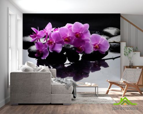выбрать Фотообои Ветка орхидеи на камнях Фотообои Фотообои Цветы:  на стену