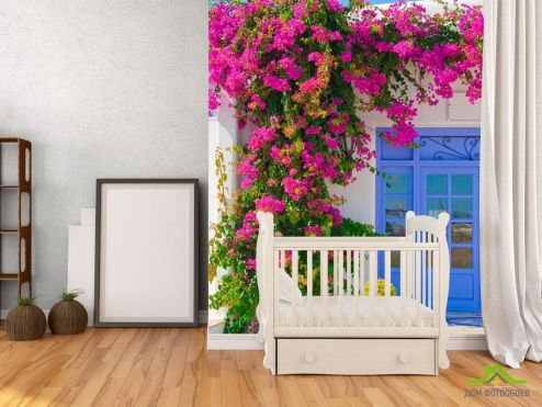 выбрать Фотообои Цветы на входе в дом Фотообои, цвет: «разноцветный» на стену