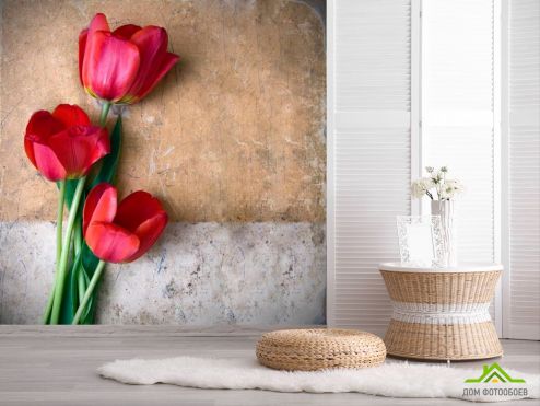 выбрать Фотообои Три красных тюльпана Фотообои, цвет: «бежевый» на стену