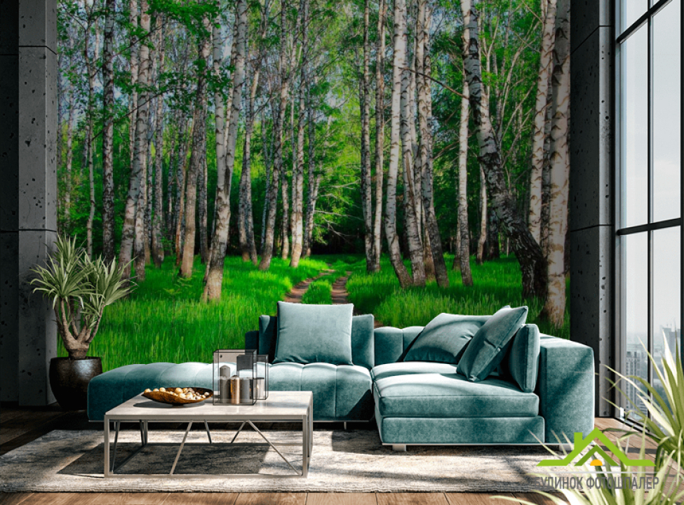 выбрать Фотообои Дорога, березки, лес Каталог фотообоев на стену