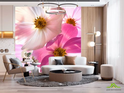 выбрать Фотообои Оттенки шиповника Фотообои Фотообои Цветы: фото, розовый  на стену