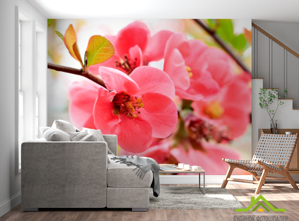 выбрать Фотошпалери Квітка яблуні Каталог фотошпалер на стіну