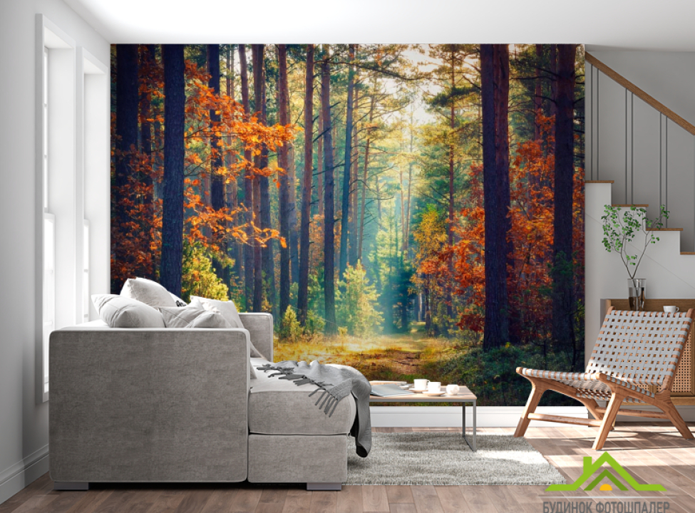 выбрать Фотошпалери вересневий ліс Каталог фотошпалер на стіну