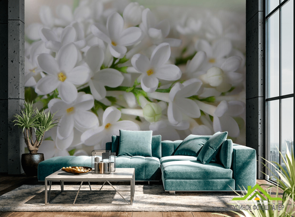 выбрать Фотообои белая сирень Каталог фотообоев на стену