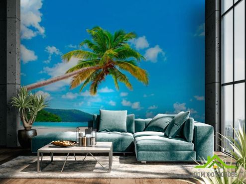 выбрать Фотообои Склонившаяся пальма у моря Фотообои Фотообои Пляж: горизонталная, горизонтальная ориентация на стену