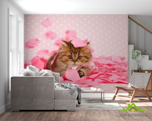 выбрать Фотообои котёнок в лепестках роз Фотообои Коты на стену