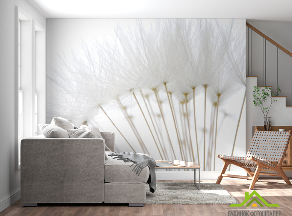 выбрать Фотошпалери білий кульбаба великий Каталог фотошпалер на стіну