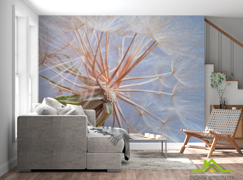 выбрать Фотообои Отцвевший одуванчик Каталог фотообоев на стену