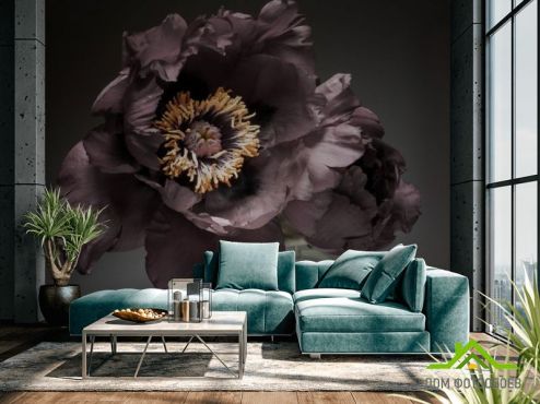 выбрать Фотообои Винтажный тёмный цветок Фотообои Фотообои Цветы:  на стену