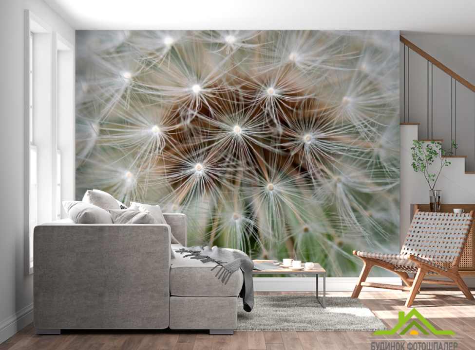 выбрать Фотошпалери Кульбаба Каталог фотошпалер на стіну