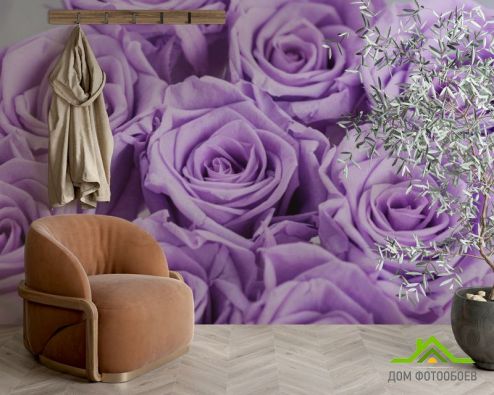 выбрать Фотообои фиолетовые розы Фотообои разные на стену