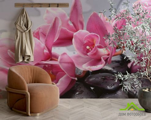 выбрать Фотошпалери Орхідеї рожеві гілкою Фотошпалери Фотошпалери Квіти: рожевий на стіну