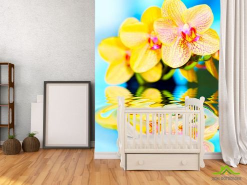 выбрать Фотообои Желтые орхидеи Голубые фотообои на стену