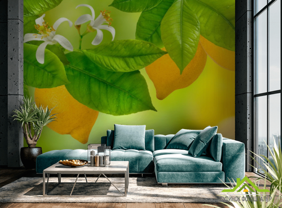 выбрать Фотошпалери Лимон Каталог фотошпалер на стіну