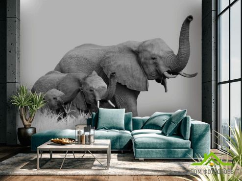 выбрать Фотообои семья слонов Фотообои Фотообои Животные: горизонталная, горизонтальная ориентация на стену