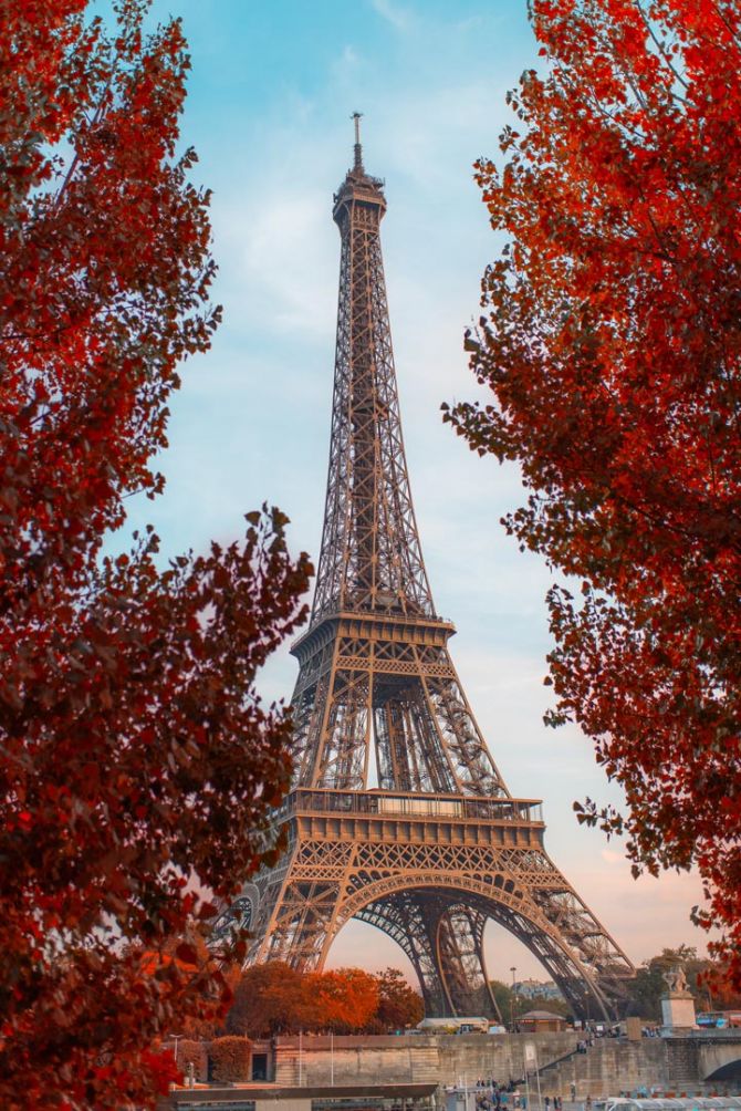 Фотошпалери червоні дерева в Парижі