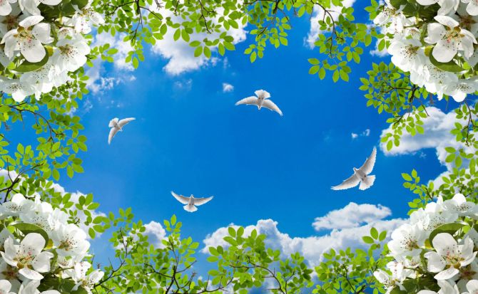 Фотообои Голуби в весеннем небе