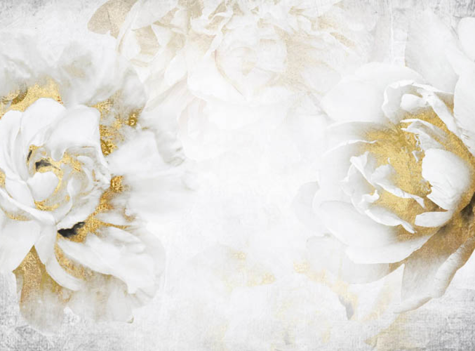 выбрать Фотошпалери білі квіти з золотом Каталог фотошпалер на стіну
