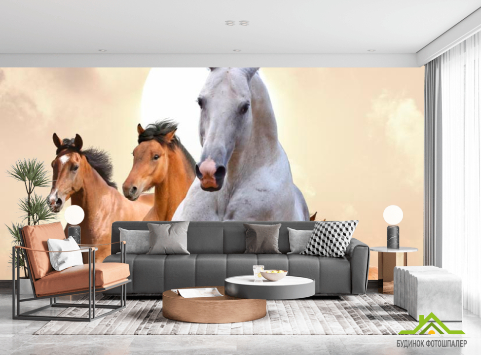 выбрать Фотообои Скачки лошадей Каталог фотообоев на стену